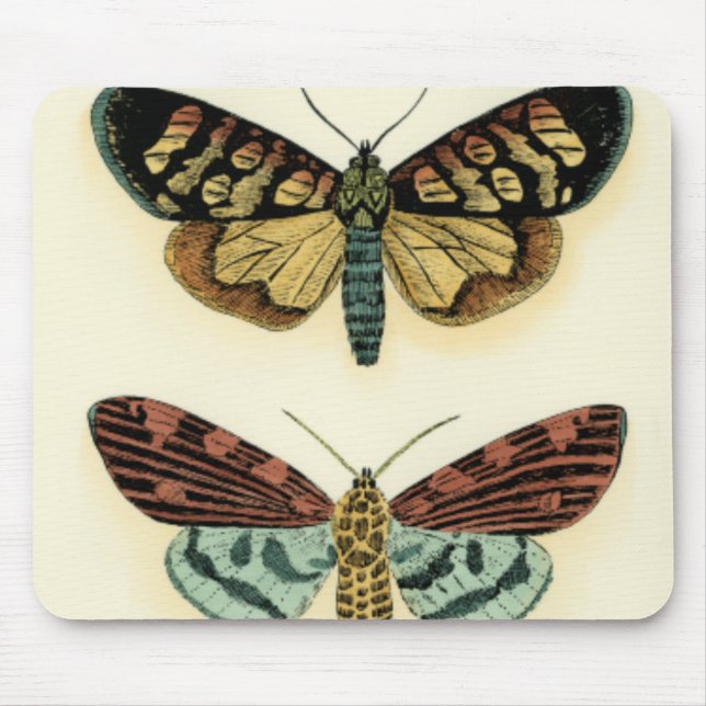 Butterfly Collection by Chariklia Zarris Musmatta (Framsidan)