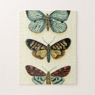 Butterfly Collection by Chariklia Zarris Pussel