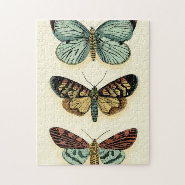 Butterfly Collection by Chariklia Zarris Pussel (Vertikal)