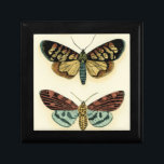 Butterfly Collection by Chariklia Zarris Smyckeskrin<br><div class="desc">Den här målningen av Chariklia Zarris är en dröm om pidopterister! Biet är häpnadsväckande detaljerat på en fjärilssamling och är häpnadsväckande i sin använda färg. Hämta ditt exemplar idag!</div>