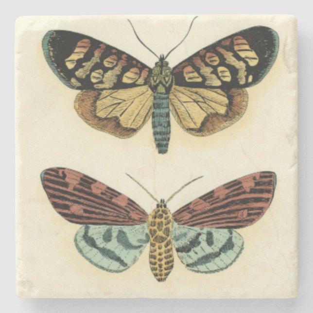 Butterfly Collection by Chariklia Zarris Stenunderlägg (Framsidan)