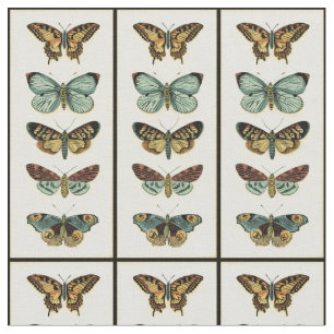 Butterfly Collection by Chariklia Zarris Tyg