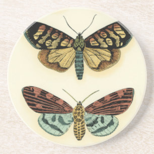 Butterfly Collection by Chariklia Zarris Underlägg Sandsten