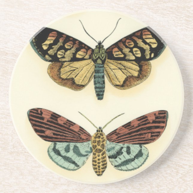 Butterfly Collection by Chariklia Zarris Underlägg Sandsten (Framsidan)