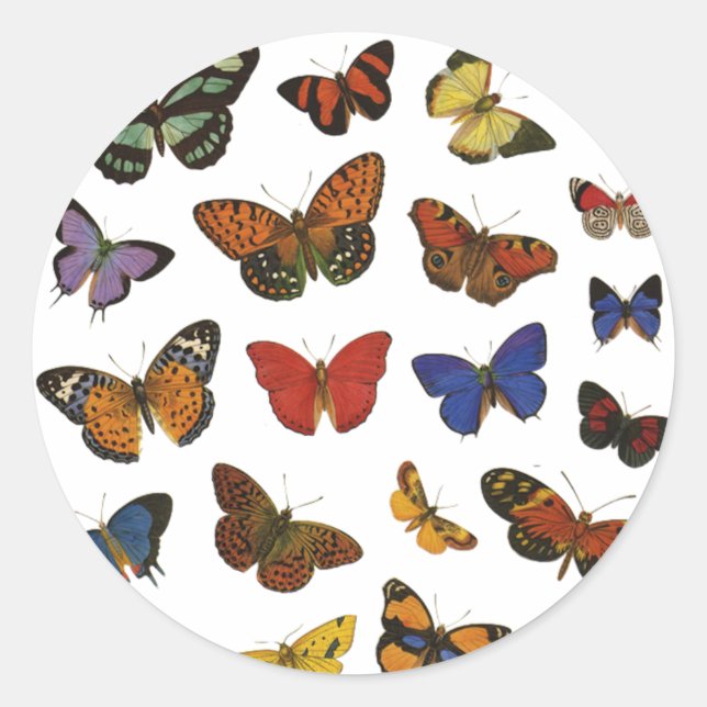 Butterfly Collection Runt Klistermärke (Framsida)