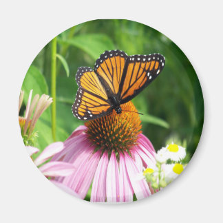 Butterfly Cone Flower Magnet