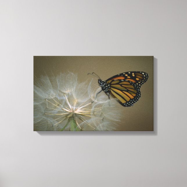 Butterfly-dandelion Canvastryck (Framsida)