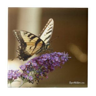 Butterfly Decorative Tile Kakelplatta