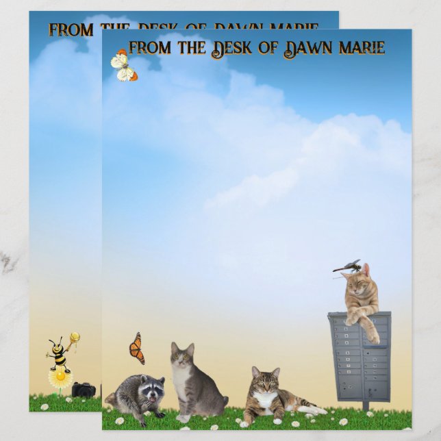 Butterfly, Dragonfly, Raccoon, and Summer Fun (Fram/baksida)