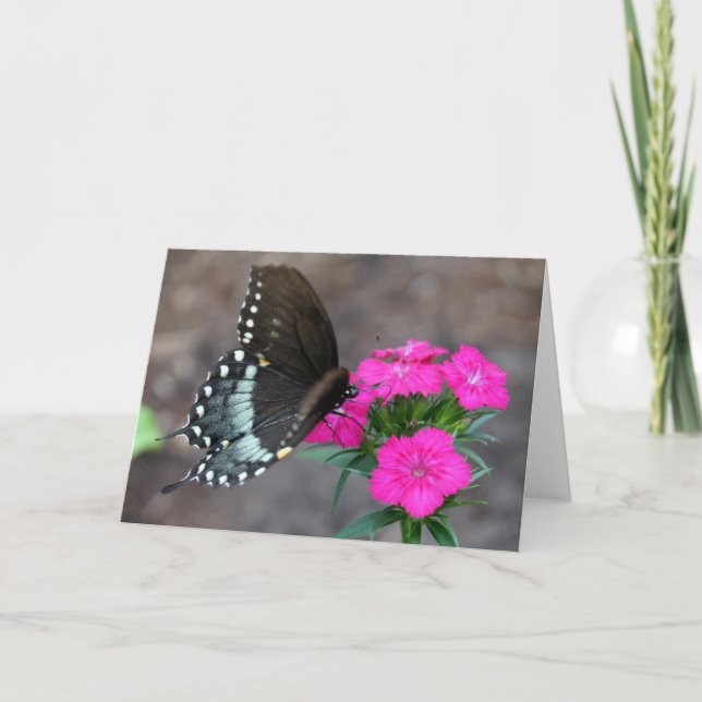 Butterfly Dreaming Kort (Framsida)