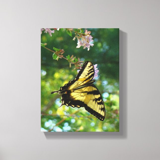 Butterfly Dreams Canvastryck (Framsida)