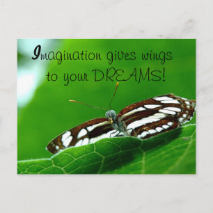 Butterfly Dreams-vykort Vykort