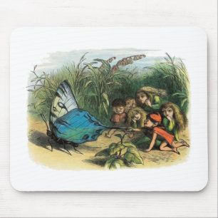 Butterfly Elf Artwork Cute Elves Butterflies Musmatta