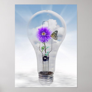 Butterfly eller blomma i glödlampor poster
