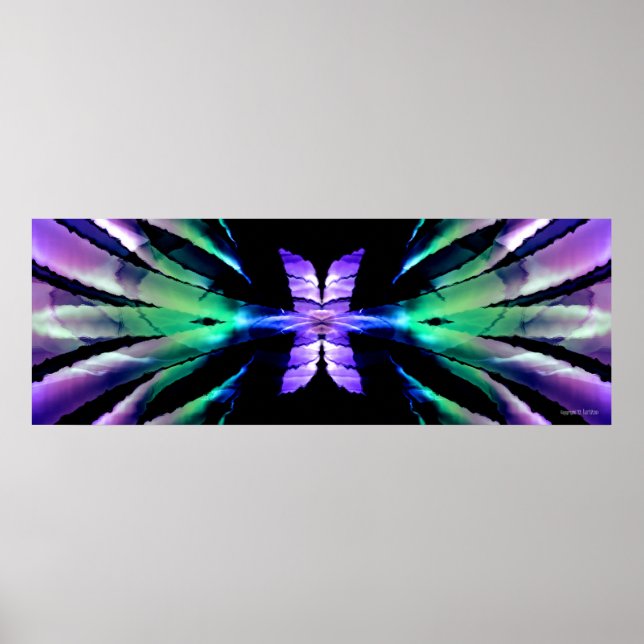 Butterfly Expanse Poster (Framsidan)