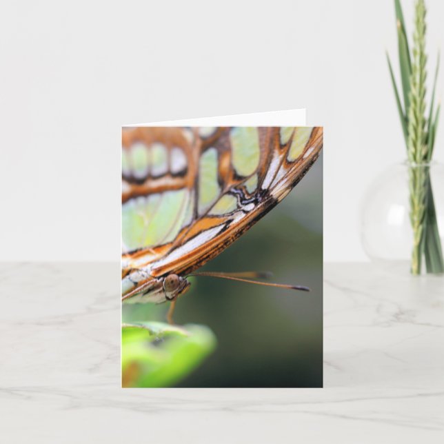 Butterfly Face Nature Photography Note Kort (Framsida)