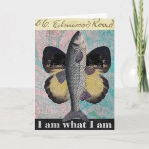 Butterfly Fish, Fars dag Kort