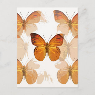 Butterfly Flies Vykort