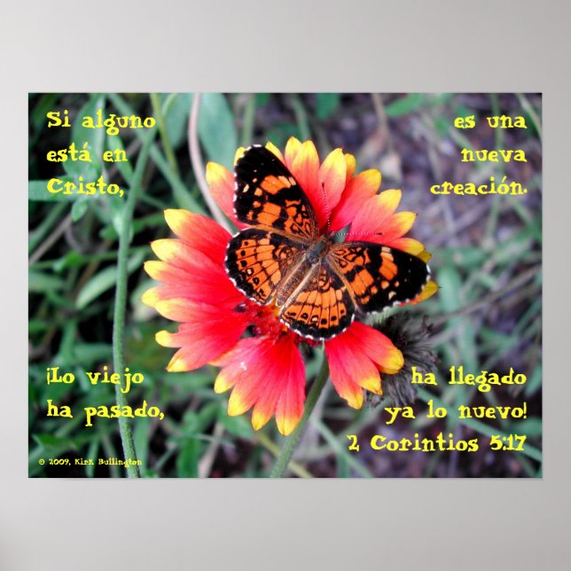 Butterfly Flower—2 Corintios 5:17 Poster (Framsidan)