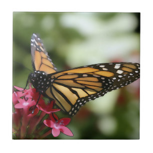 Butterfly Flower Ceramic Tile Kakelplatta