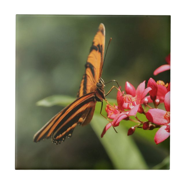 Butterfly Flower Ceramic Tile Kakelplatta (Framsidan)