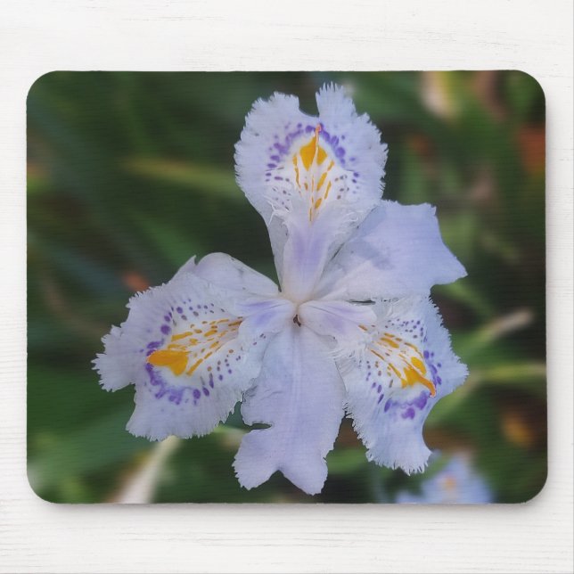 Butterfly Flower Musmatta (Framsidan)
