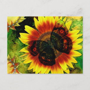 Butterfly Flower Vykort