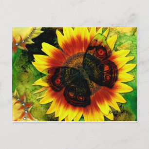Butterfly Flower Vykort