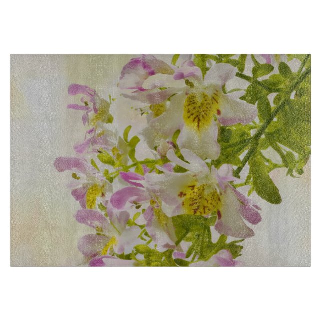 Butterfly Flowers (Framsidan)