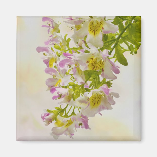 Butterfly Flowers Magnet (Framsidan)