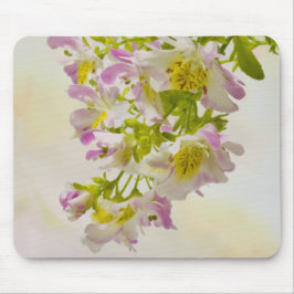 Butterfly Flowers Musmatta