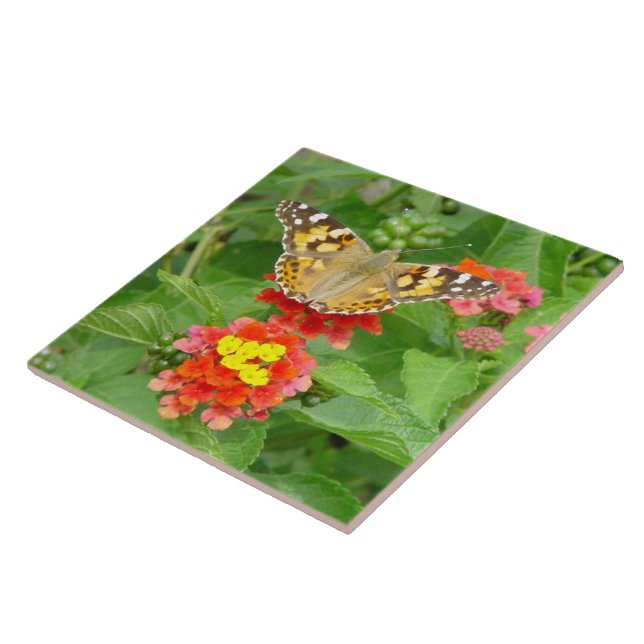 Butterfly Flowers Tile Kakelplatta (Sidan)