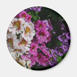 Butterfly Flowers White Rosa och Lila Magnet