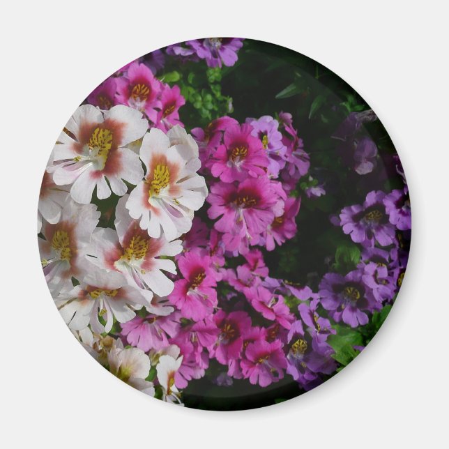 Butterfly Flowers White Rosa och Lila Magnet (Framsidan)