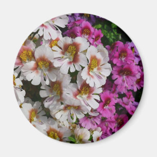 Butterfly Flowers White Rosa och Lila Magnet