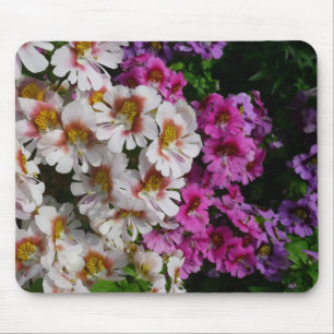 Butterfly Flowers White Rosa och Lila Musmatta