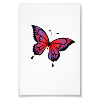 Butterfly Fototryck