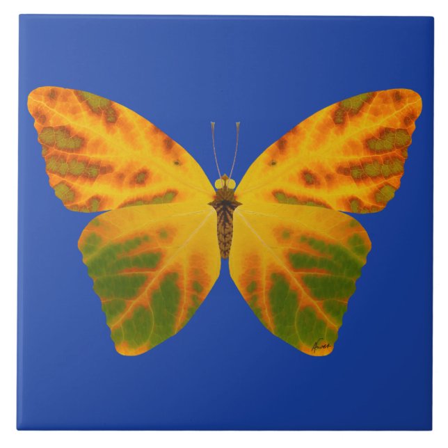 Butterfly från aspen Löv 1 Kakelplatta (Framsidan)