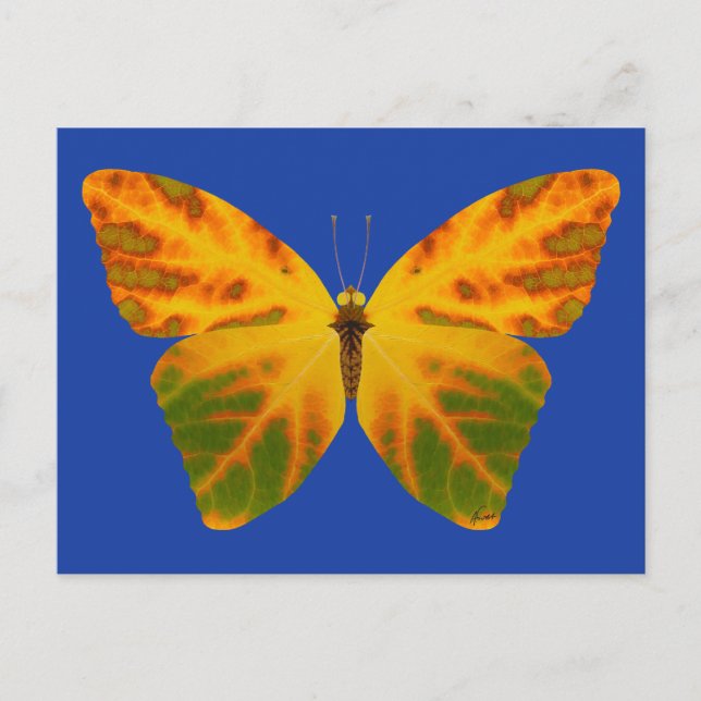 Butterfly från aspen Löv 1 Vykort (Framsida)