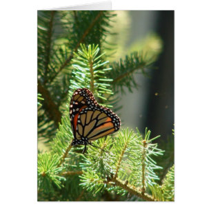 Butterfly från Gräs Träd Hälsningskort