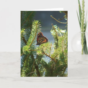 Butterfly från Gräs Träd Kort