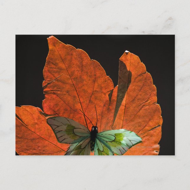 Butterfly från löv 2 vykort (Framsida)