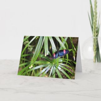 Butterfly från Löv Kort