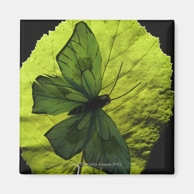 Butterfly från löv magnet (Framsidan)