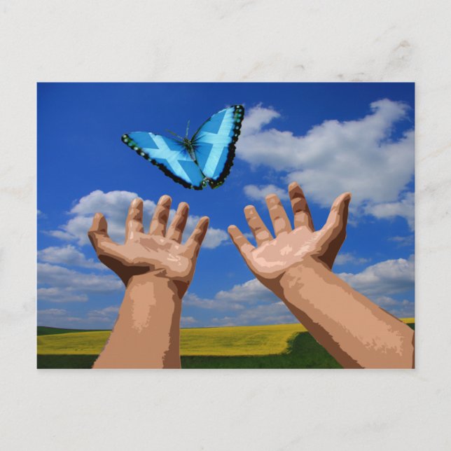 Butterfly Free Scotland med vykort (Framsida)