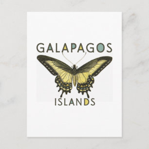 Butterfly Galapagos-öarna Vykort