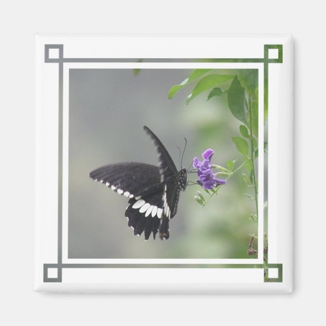 Butterfly Garden Square Magnet (Framsidan)
