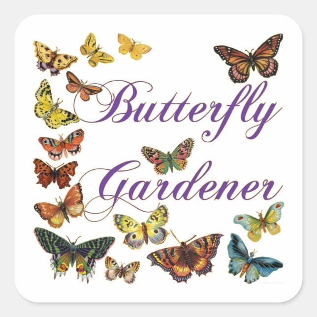 Butterfly Gardener Sstickning Fyrkantigt Klistermärke (Framsida)