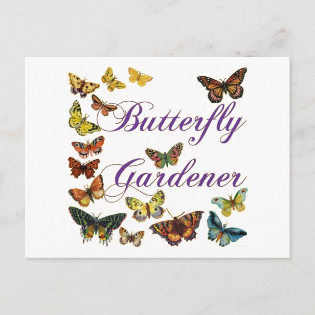 Butterfly Gardener Sstickning Vykort (Framsida)