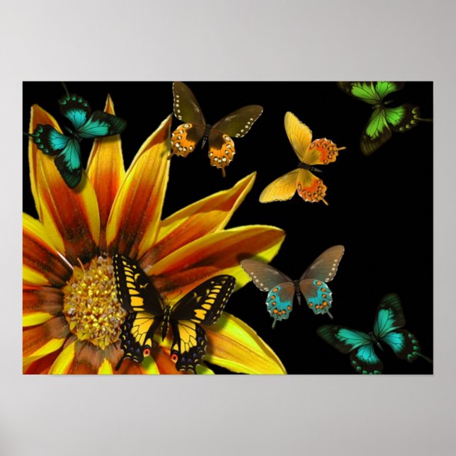 Butterfly Gardens Poster (Framsidan)